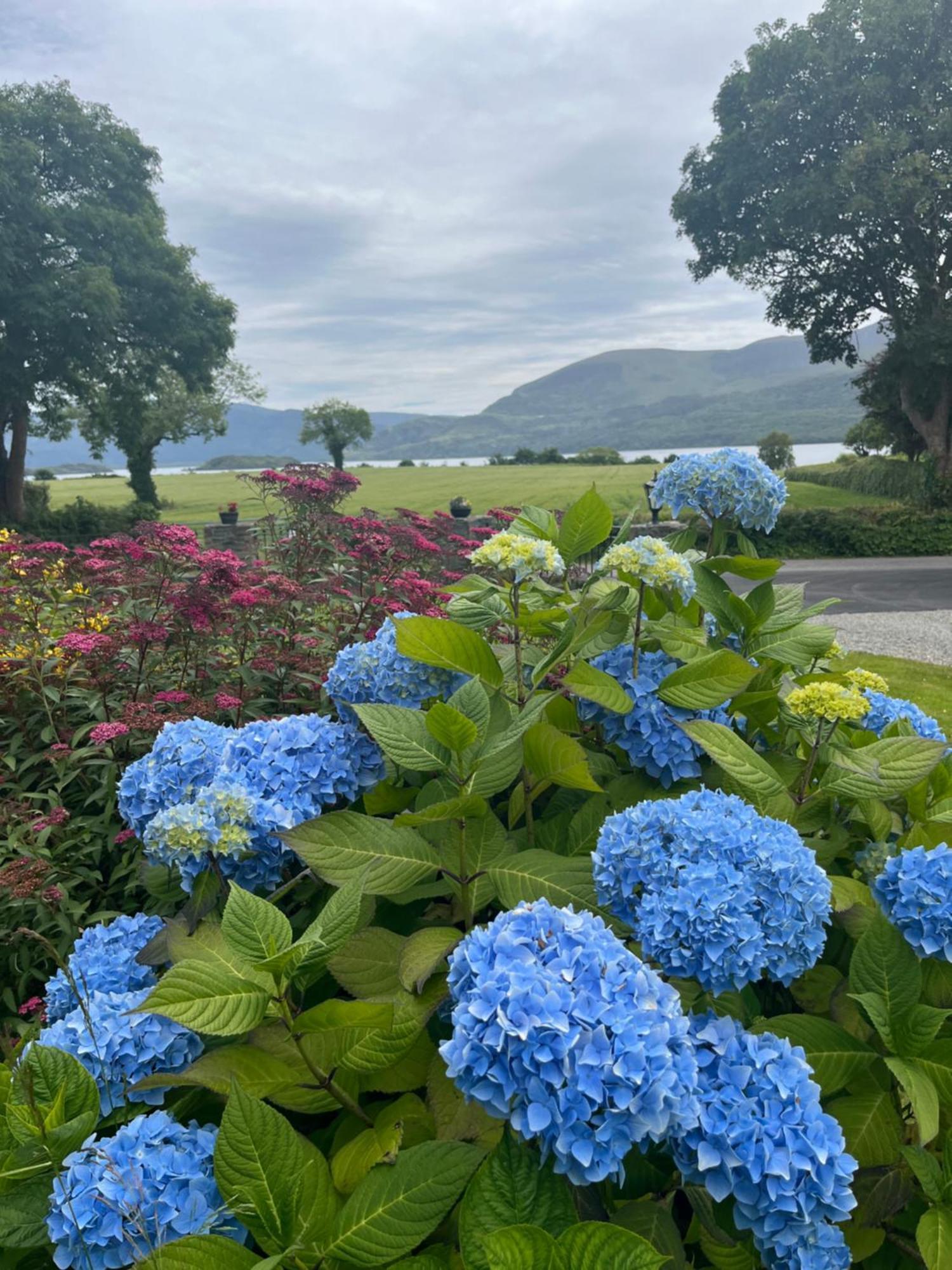Loch Lein Country House Killarney Exterior foto